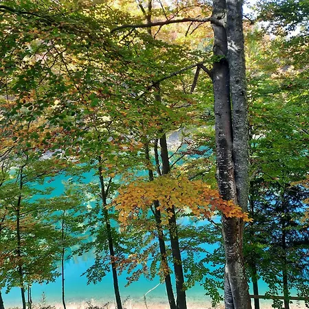 Vikendica Breza Tatil Evi